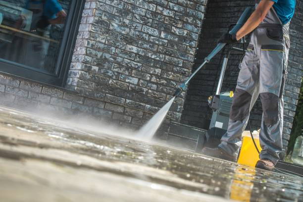 Best Graffiti Removal  in Lake Magdalene, FL
