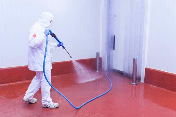 Best Animal Enclosure Cleaning  in Lake Magdalene, FL