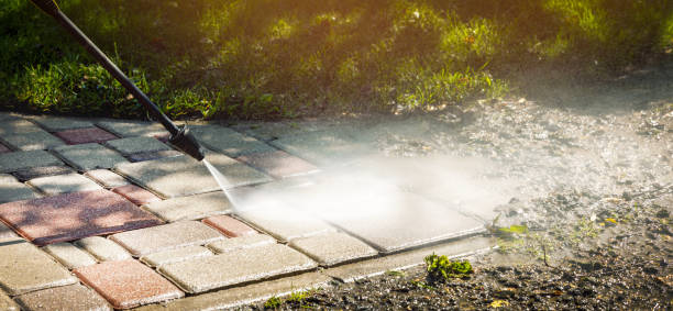 Best Pool Deck Cleaning  in Lake Magdalene, FL