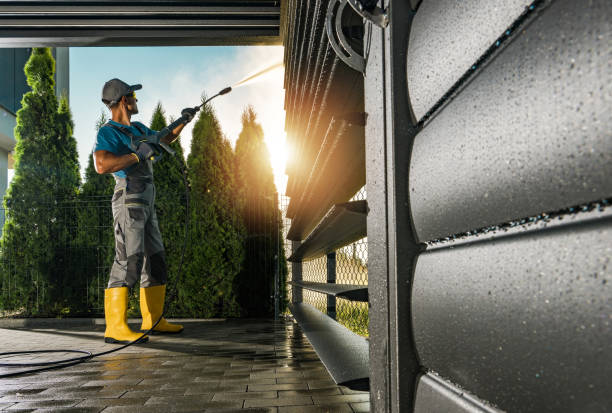 Best Building Exterior Washing  in Lake Magdalene, FL